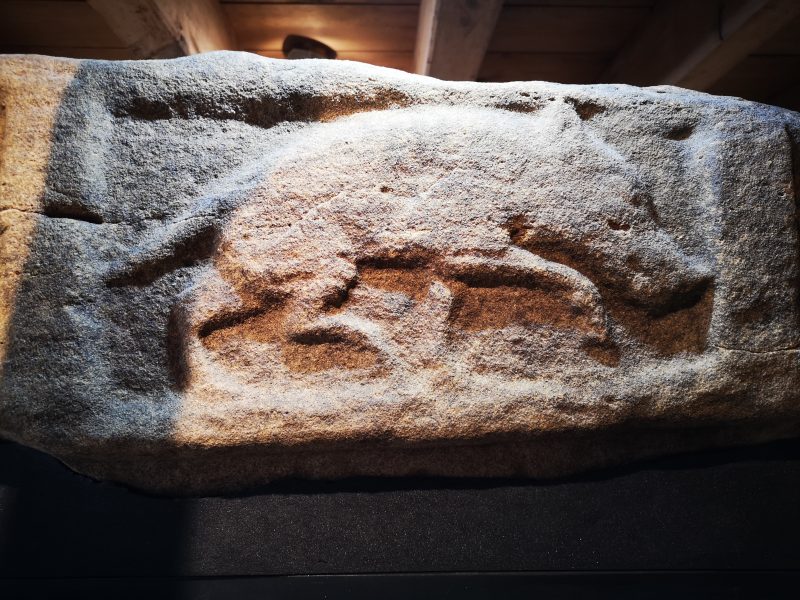 Boar plate - Image 6